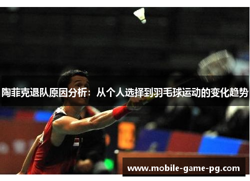 陶菲克退队原因分析：从个人选择到羽毛球运动的变化趋势