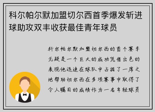 科尔帕尔默加盟切尔西首季爆发斩进球助攻双丰收获最佳青年球员